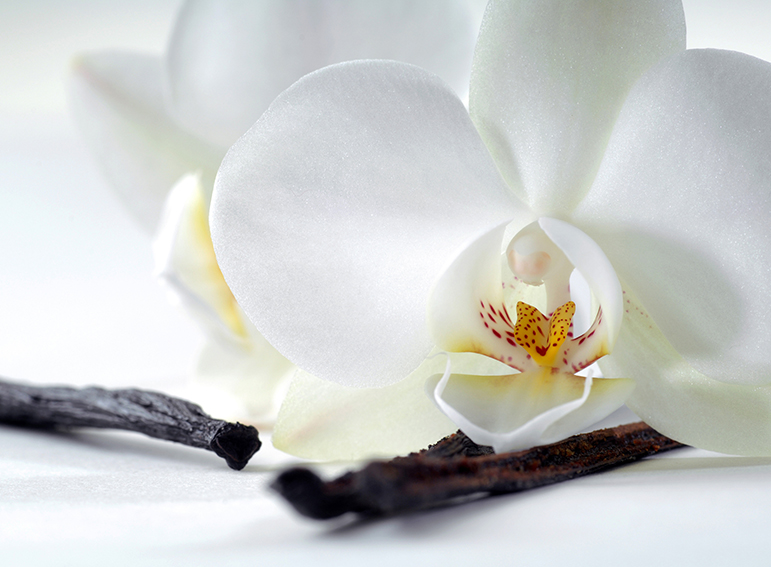 Фотопанно Орхидея и ваниль, размер 200×147 (321)