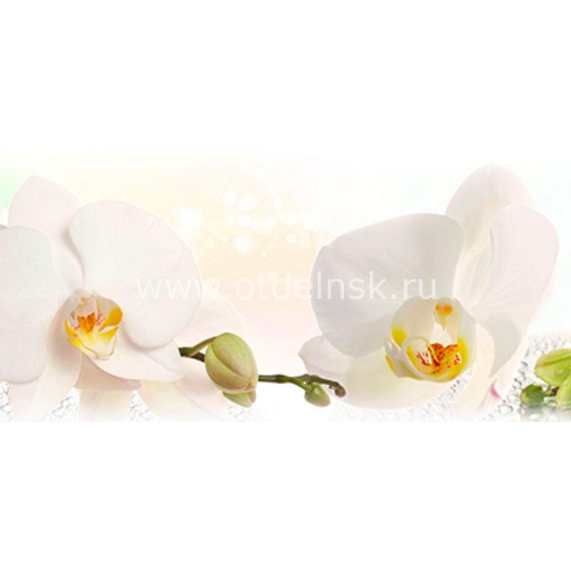 244 Белые орхидеи. Фартук для кухни МДФ. 2,8 метра