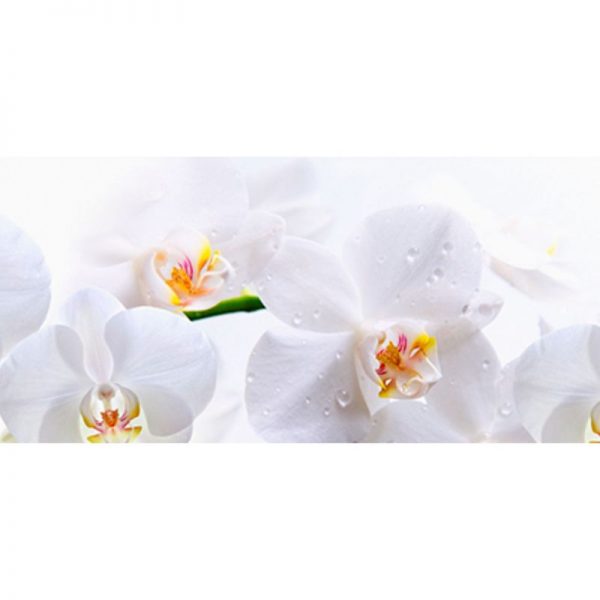245 Белые орхидеи. Фартук для кухни МДФ. 2,8 метра