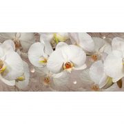 007 Орхидеи. Фартук для кухни МДФ. 2,8 метра