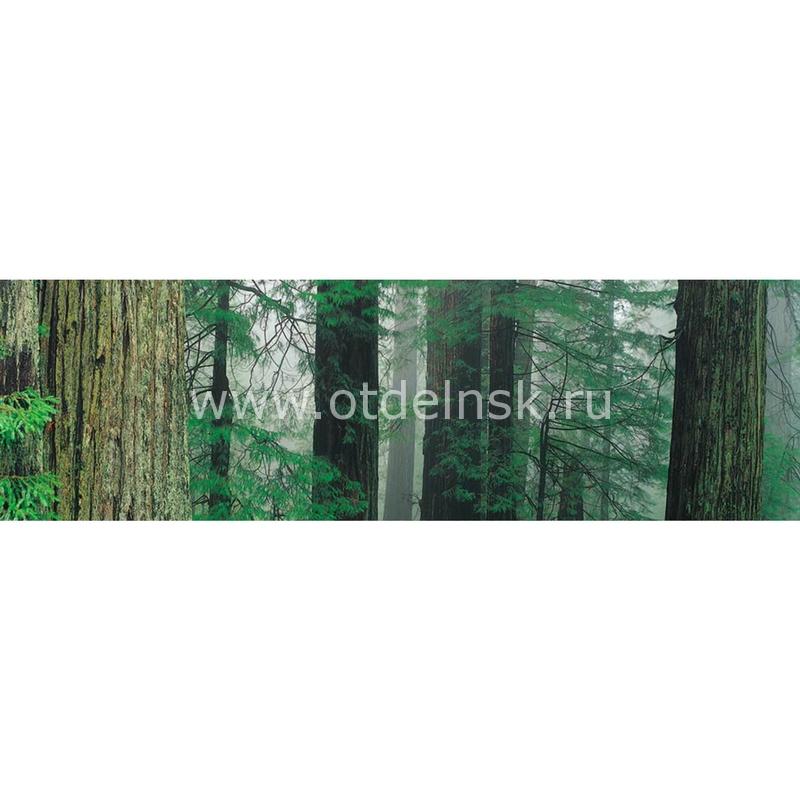 070 Природа, лес. Фартук для кухни МДФ. 2,8 метра