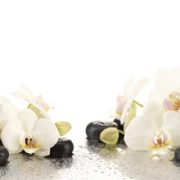 9255 Белые орхидеи, спа. Фартук для кухни пластиковый. 3 метра