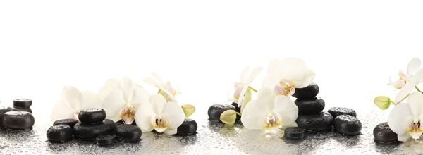 9255 Белые орхидеи, спа. Фартук для кухни пластиковый. 3 метра