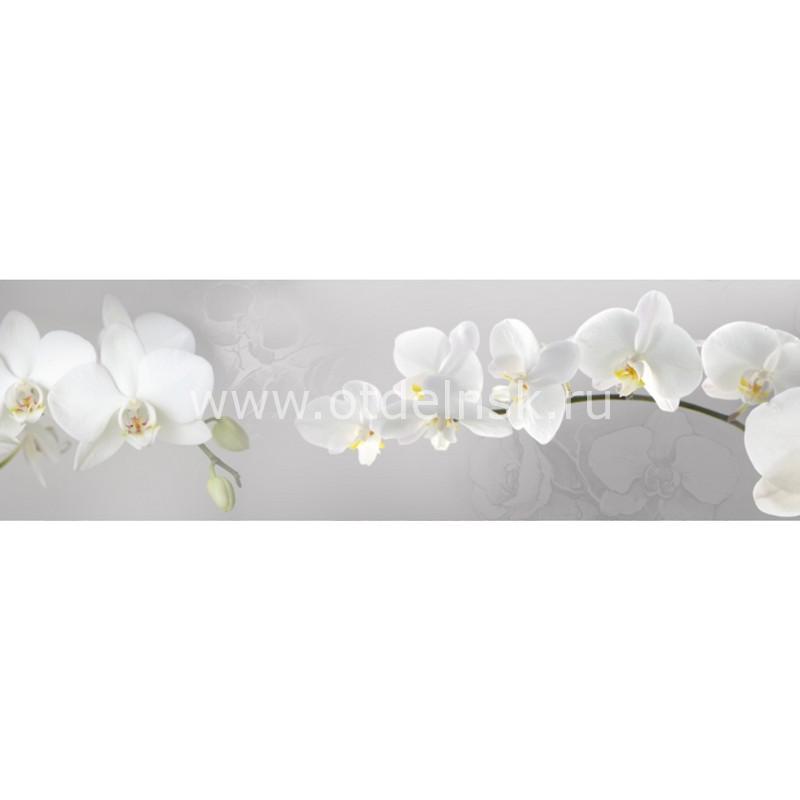 9285 Белые орхидеи. Фартук для кухни пластиковый. 3 метра