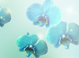 9306 Голубые орхидеи. Фартук для кухни пластиковый. 3 метра