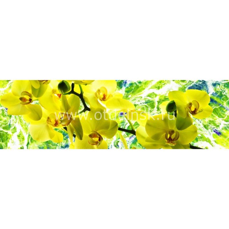 8848 Жёлтые орхидеи. Фартук для кухни пластиковый. 3 метра